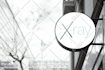 design a high quality professional logo for you