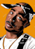 draw professional pop art colors style from your photo