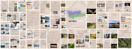 make the best photo collage using your pictures