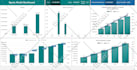 create excel dashboard, data visualization and report