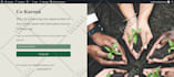 create landing page design or wordpress landing page