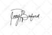 create handwritten signature designs with video tutorial