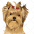 draw high quality vector art for your pet