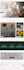 build custom website, full stack website development, design wordpress website