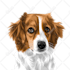draw minimalist vector pet,dog,cat potraits