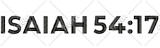 do fast embroidery digitizing and design from your image in dst pes emb formats