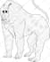 create unique line art vector drawing coloring book