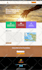 create a professional custom wordpress website