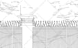 draw vector line art illustration