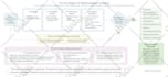 create scientific illustrations, diagrams and graphical abstracts
