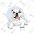 sketch your idea and animate it into cute cartoon characters