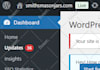 do wordpress website development for you