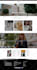 design shopify ecommerce website, build modern shopify store
