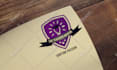 do professional minimalist business logo design