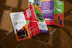 do professional trifold brochure design for you