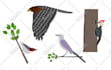 design custom 2d flat vector illustrations for your projects