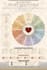 do illustrated graphic design, flow chart, infographic design