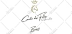 do embroidery digitizing, digitize image into dst, pes, jef, emb asap