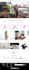 develop your custom designed shopify template