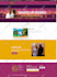 design a professional wordpress website or landing page