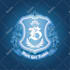 design crest heraldic, emblem and shield logo