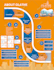 create custom professional infographic design