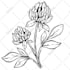 convert low quality image or drawing into high resolution vector file