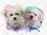 do a custom pet portrait, dog portrait, cat portrait