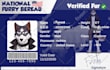 draw furry ref sheet reference sheet anthro fursona oc character design