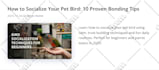 do wix SEO for increasing sales and google top ranking
