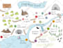 draw a custom illustrated map