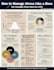 design professional unique infographics in illustrator, powerpoint, and canva