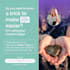 design complete social media posts headers, covers, banners