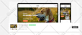 build, revamp shopify dropshipping store, pet store, pets website