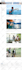 create amazon affiliate website for guaranteed income