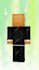 make you a minecraft skin