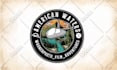 create vintage logo design automotive, car, vehicle bussines