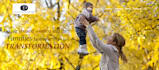 design, redesign modern wordpress website or business website development