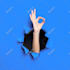 do photoshop editing retouching and background removal job