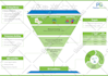 do illustrated graphic design, flow chart, infographic design