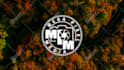 design photography signature or watermark logo