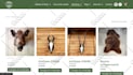 build wordpress elementor website or redesign wordpress website