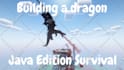 play minecraft with you in both java or bedrock edition