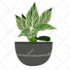 draw vector plants, fruits and vegetables illustration