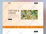 design and develop a professional wordpress website design