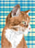 do vector illustration dog cat animal pet cartoon portrait