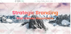 design or redesign wordpress website with divi theme customization