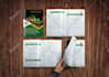 design a premium pitch deck, company profile and brochure