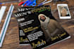 design professional stylish magazine cover