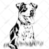 draw amazing line art for your pet
